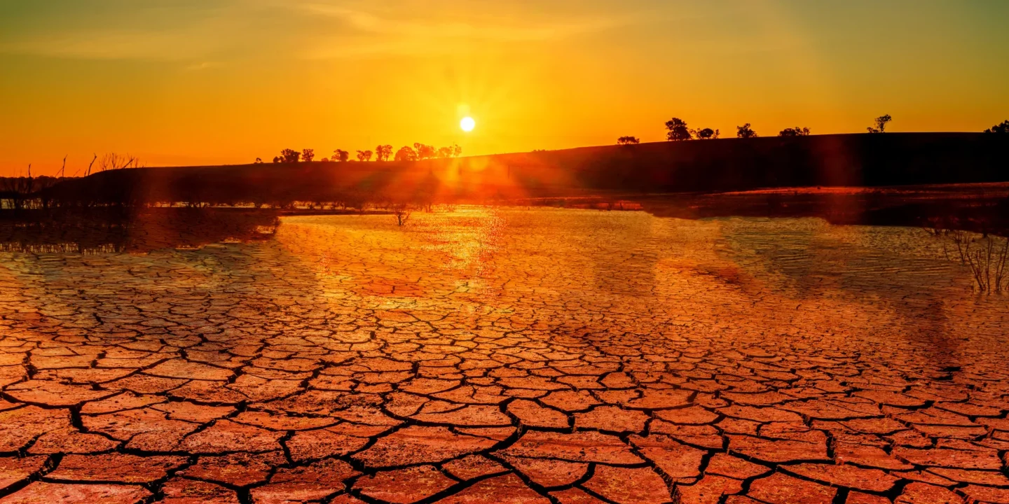 Réchauffement climatique