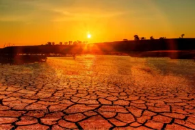 Réchauffement climatique