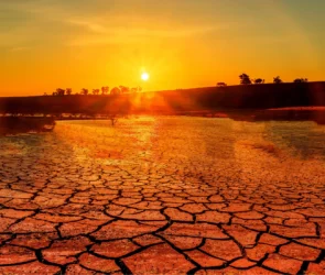 Réchauffement climatique