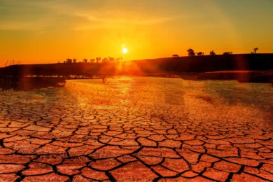 Réchauffement climatique