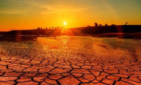 Réchauffement climatique