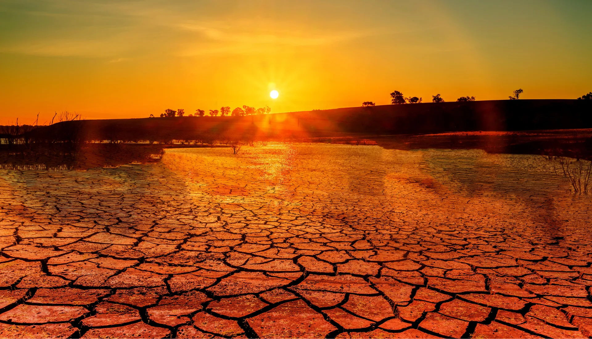 Réchauffement climatique