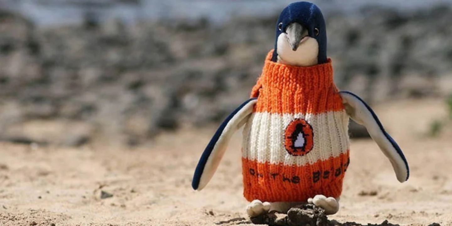 Alfie Date, un Australien de 109 ans, tricote des petits pulls pour manchots afin de les protéger du pétrole après une marée noire.